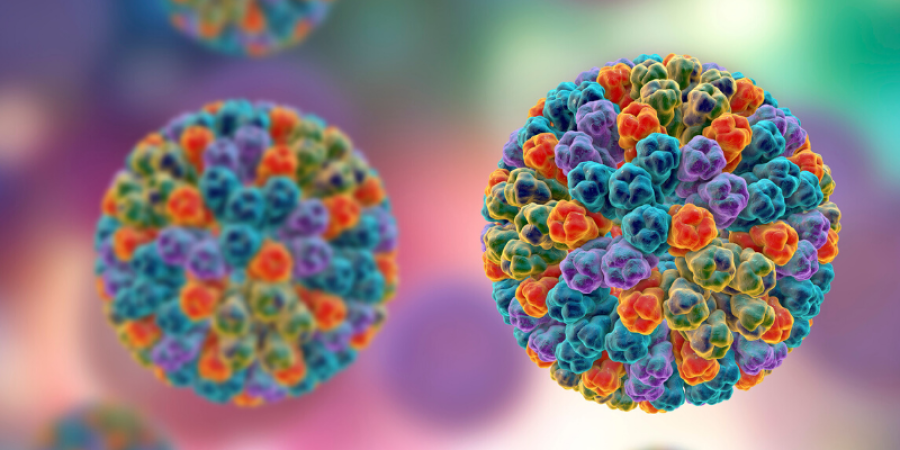 Las enfermedades transmitidas por los alimentos; una responsabilidad compartida de los gobiernos, productores y consumidores