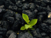 ¿Qué es el biochar, el oro negro de la naturaleza, y por qué la gente está tan emocionada por su potencial?