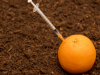 ¿Qué son los alimentos transgénicos?