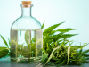 Cannabis: Beneficios y Retos en la Medicina y la Nutrición