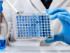 Pruebas de biocompatibilidad en dispositivos médicos: citotoxicidad