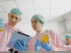 La importancia crucial de las certificaciones GMP en materias primas para suplementos nutricionales