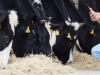 Residuos de medicamentos veterinarios en alimentos