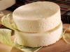 Microorganismos comúnmente reportados causantes de las enfermedades transmitidas por el queso fresco