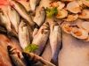 Contaminantes en mariscos y productos del mar