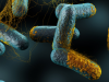 Clostridium botulinum