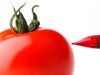 Fraude en alimentos orgánicos: una tendencia en 2022