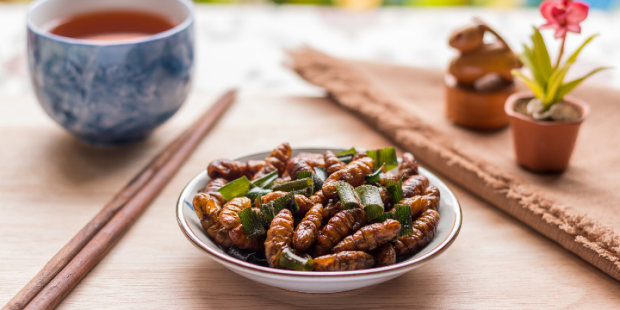 Producción de alimentos a base de insectos