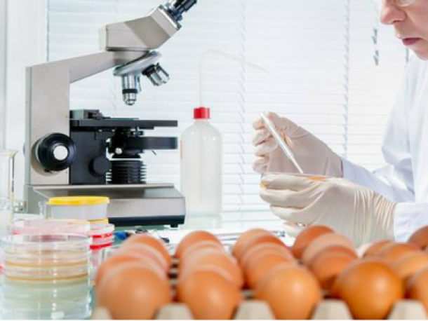 El Control en la Cadena de Producción es clave para la Seguridad Alimentaria en Argentina