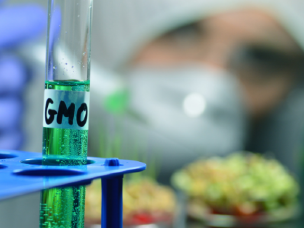 Organismos Genéticamente Modificados en Colombia