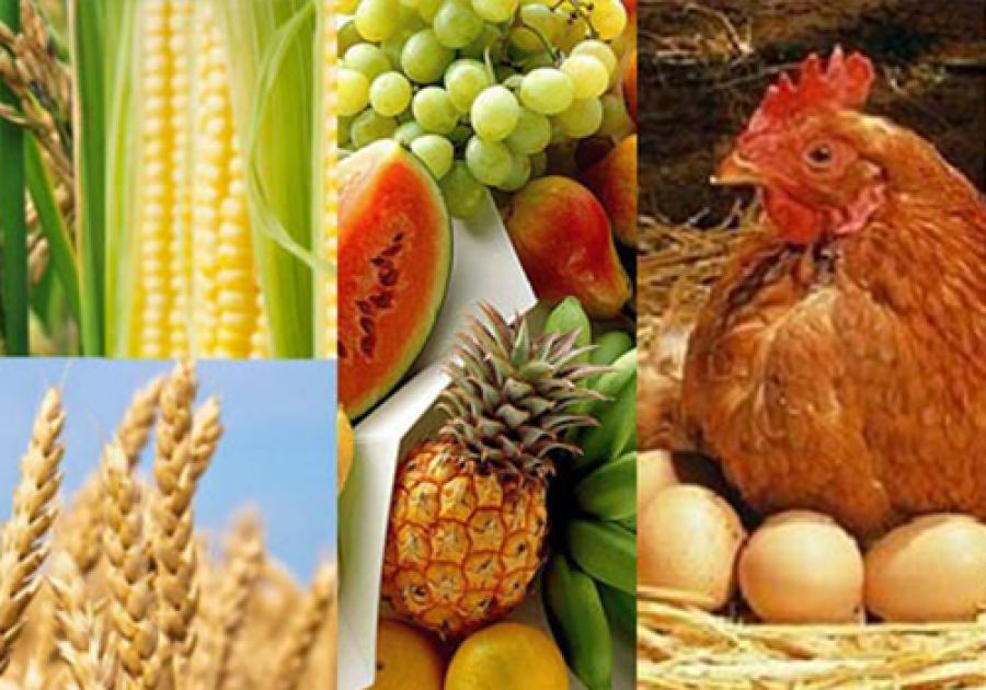 Protección de alimentos contra adulteraciones intencionales