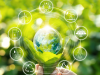 ¿Conoces las normas de la Unión Europea (UE) sobre producción ecológica?
