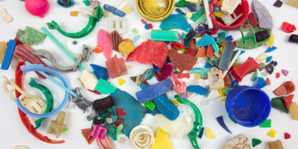 Micro plásticos y nano plásticos en la cadena alimentaria