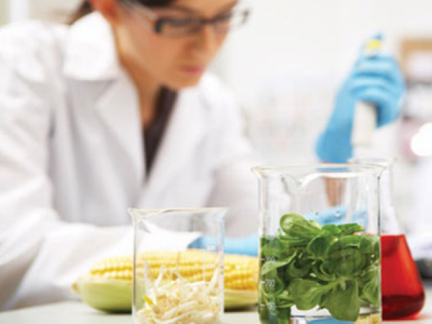 Tendencias actuales, la nueva revolución de consumo en el sector alimentario