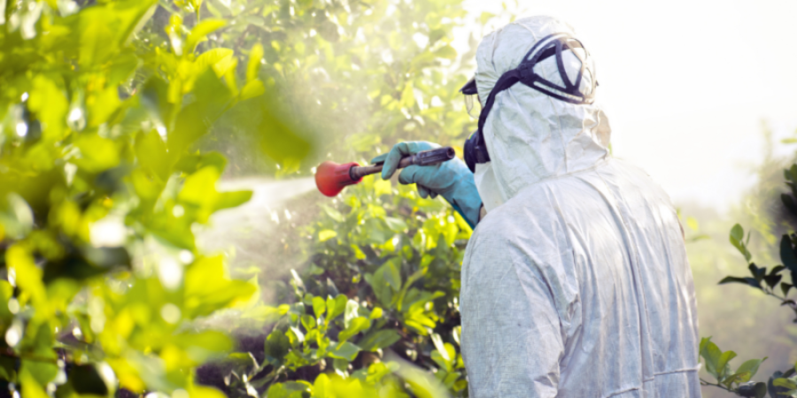 Ingredientes activos en plaguicidas