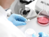 Ensayos cosméticos: Ciencia que protege al consumidor