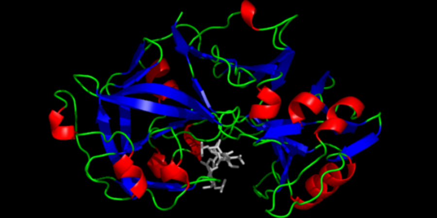 Digestibilidad en Pepsina: qué es, características y funciones.