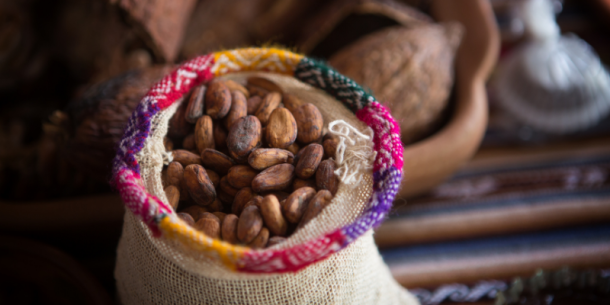 Exportación de Cacao peruano creció 11% siendo el más demandado su presentación en grano