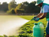 Uso de biofertilizantes en Latinoamérica: innovación, regulación y control de calidad como eje del agro sostenible