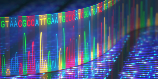 Servicios de Secuenciación de Nueva Generación para la obtención de SNPs