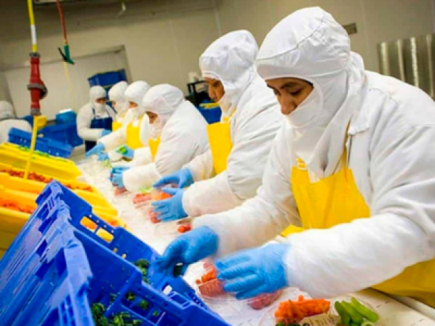 Sistema HACCP: En qué consiste, historia y actualidad