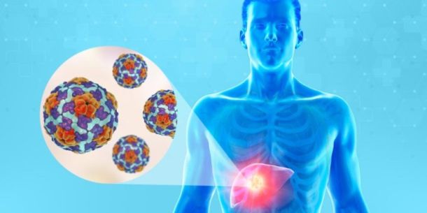 Brote de hepatitis A posiblemente relacionado con fresas orgánicas.