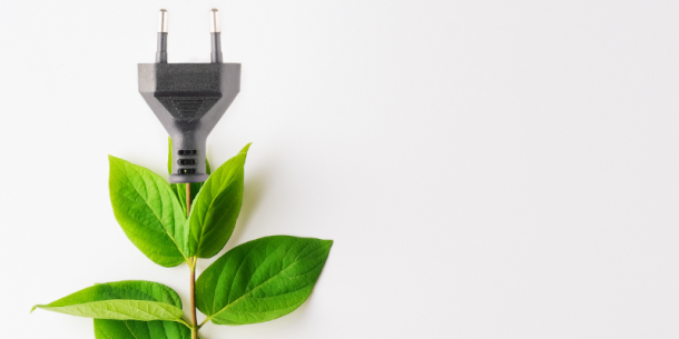 Determinación del Poder Calorífico en Biomasas: Un Enfoque Crucial para la Conversión de Energía Sostenible