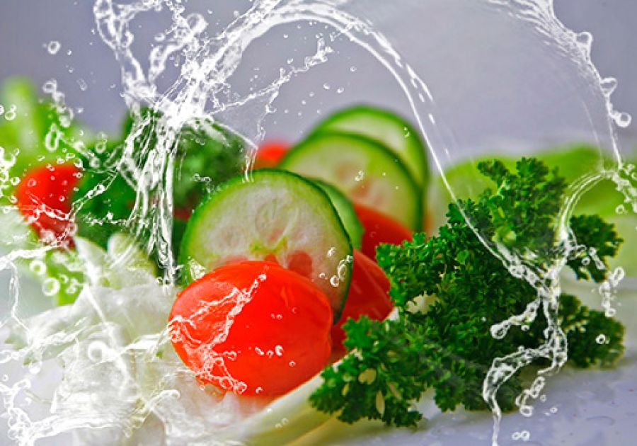 ¿Cuáles son los Programas de verificación de Proveedores Extranjeros?