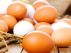 El Color de los Huevos y relación con sus Componentes