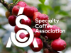 Elevar la calidad del café con la normativa SCA – Una guía esencial para exportadores y marcas de especialidad