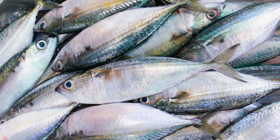 ¿Qué es la histamina y por qué es importante detectarla en especies de peces?