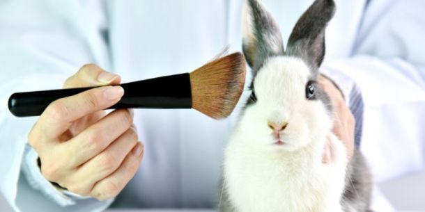 Presencia de ADN animal en productos cosméticos