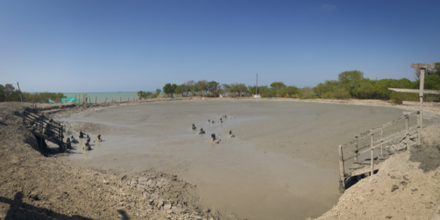 16 diciembre 2025 - Avanzando con dificultad a través de lodos: análisis de trazas de PFAS en aguas residuales, lodos y biosólidos