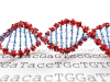 Validación genómica de alta resolución: el estándar NGS en el control de bioprocesos