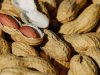 Aflatoxinas en el Maní: Un Desafío para la Seguridad Alimentaria