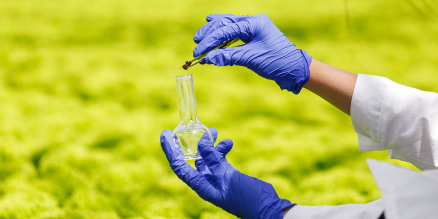 Más allá de lo visible: mitigación de riesgos en el análisis de ultra-trazas para la exportación dominicana