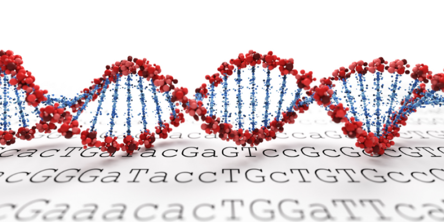 Validación genómica de alta resolución: el estándar NGS en el control de bioprocesos