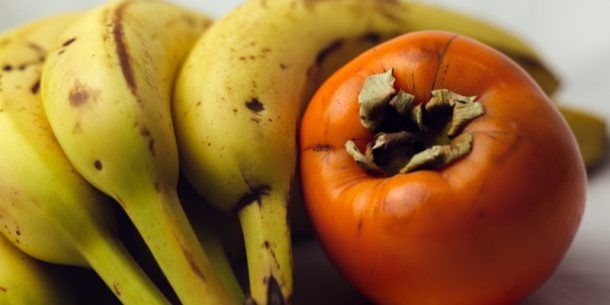 Salud pública, seguridad alimentaria y la industria de alimentos