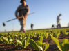 Ética de la fertilización de productos orgánicos